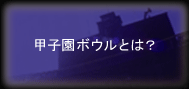 甲子園ボウルとは？