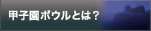 甲子園ボウルとは？