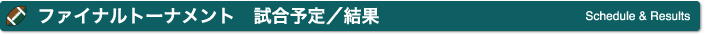 ファイナルトーナメント 試合予定／結果