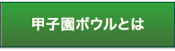 甲子園ボウルとは