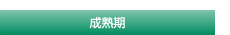 成熟期