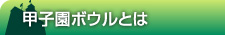 甲子園ボウルとは