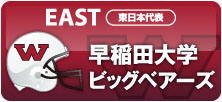 東日本代表校｜早稲田大学ビッグベアーズ