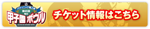 チケット情報-パナソニック電工杯第65回毎日甲子園ボウル