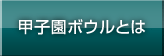 甲子園ボウルとは