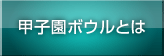 甲子園ボウルとは