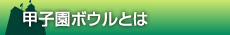 甲子園ボウルとは