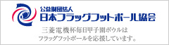 公益財団法人 日本フラッグフットボール協会