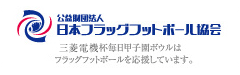 公益財団法人 日本フラッグフットボール協会